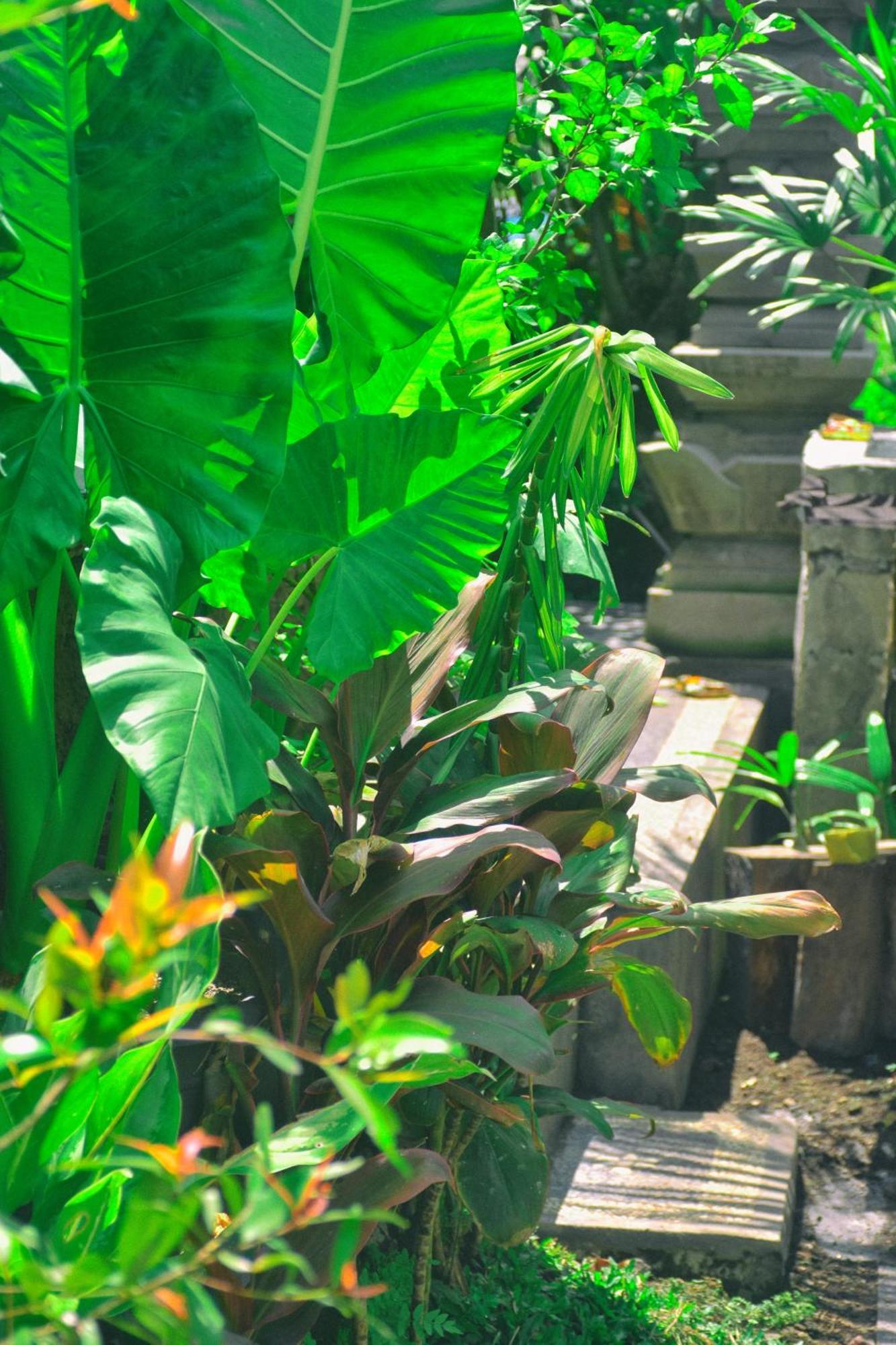 Ume Sita Villa And Homestay Ubud  Bagian luar foto