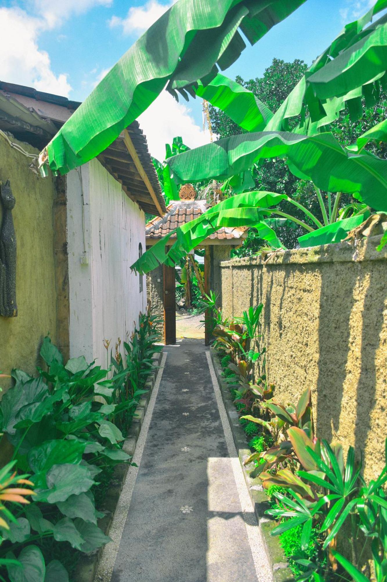 Ume Sita Villa And Homestay Ubud  Bagian luar foto